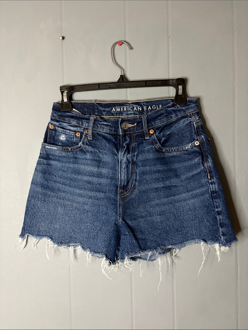 American Eagle Outfitters Dark Blue Denim Raw Hem High-Rise Shorts
